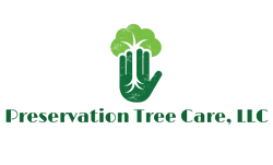 Preservation Tree Care